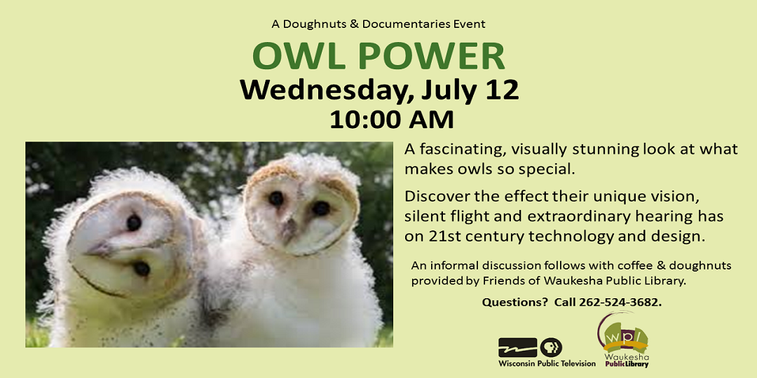 Doughnuts and Documentaries: Owl Power Wednesday July 12 10:00AM