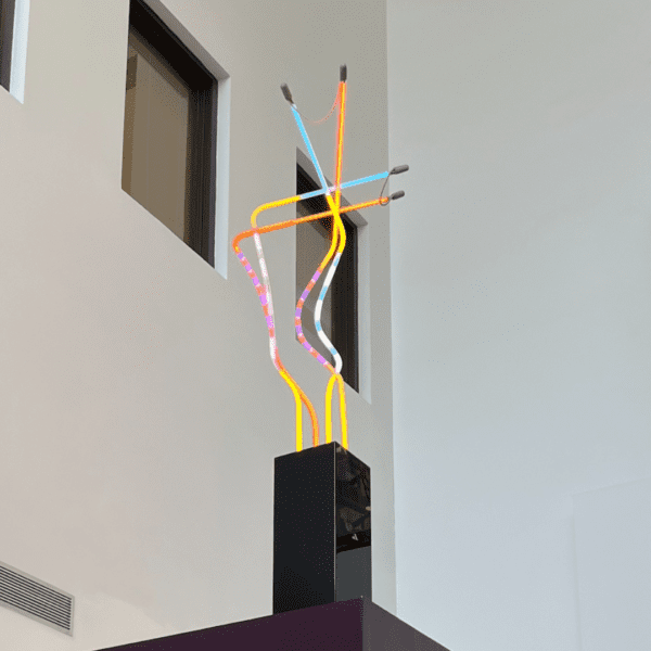 Art Collection Library Art Works Waukesha Public Library