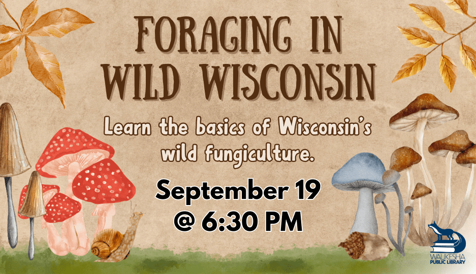 Foraging for mushrooms in Wisconsin.